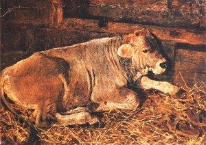 Il torello (1882-1883)